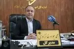 تحول در زندگی عشایر ایلام؛ از بهسازی راه‌ها تا رکورد تولید گوشت قرمز