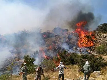 آتش سوزی در مراتع کوهستانی بلده