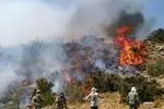 آتش سوزی در مراتع کوهستانی بلده