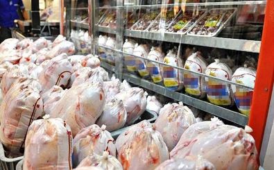 اگر روند خرید مرغ کاهشی شود مرغداران از چرخه تولید حذف خواهند شد