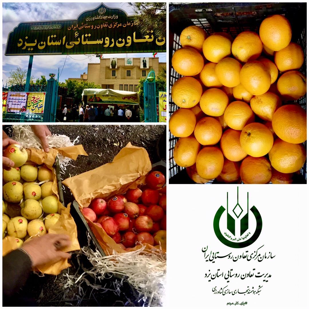توزیع بیش از 946 تن سیب و پرتقال تنظیم بازار در سطح استان یزد