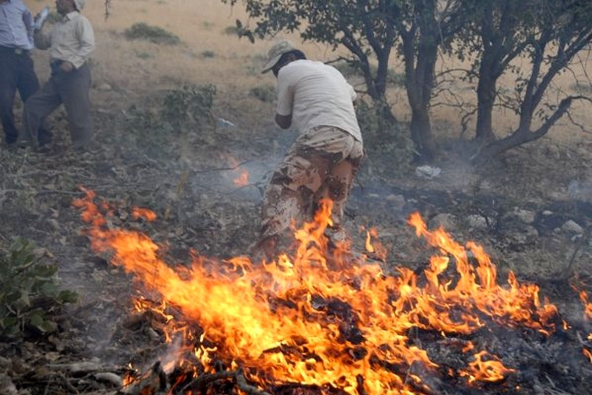 وقوع آتش سوزی در مراتع و جنگل های گیلان‌غرب