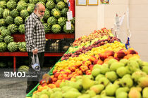 مدیرعامل سازمان تعاون روستایی از وضعیت میوه شب یلدا در میدان بار بازدید کرد