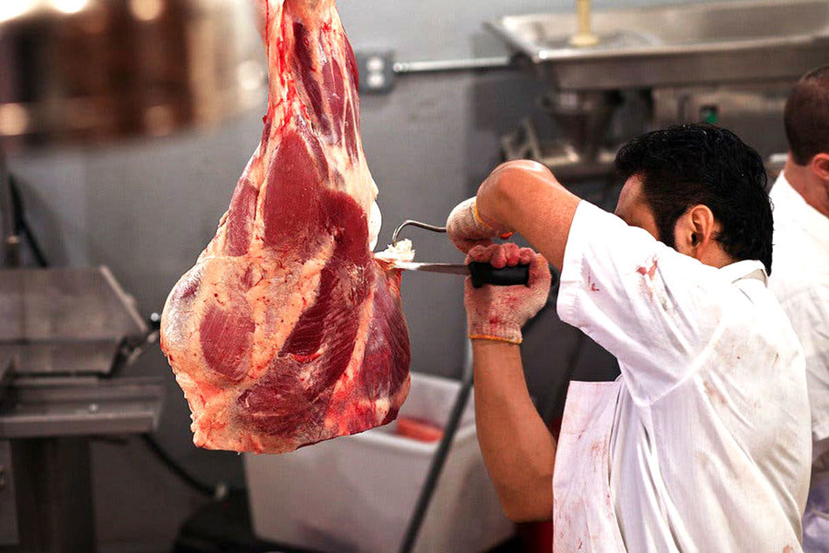 عاملان توزیع و عرضه گوشت غیرمجاز در هرمزگان شناسایی و دستگیر شدند