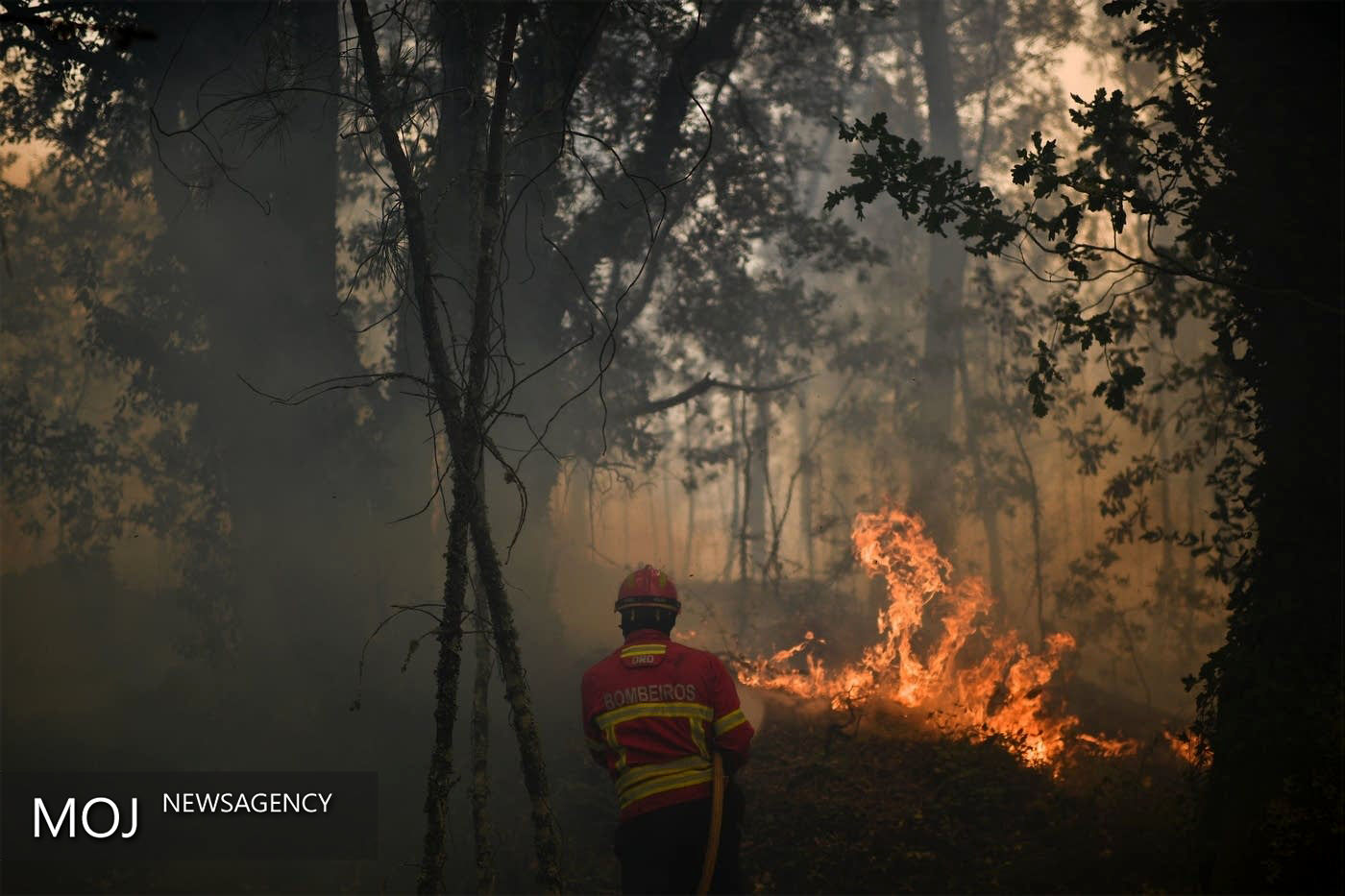 مهار آتش سوزی اراضی کشاورزی قائمشهر پیش از رسیدن به جنگل