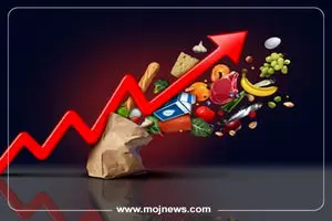 اینفوگرافیک/تورم مواد غذایی و کوچکتر شدن سفره مردم