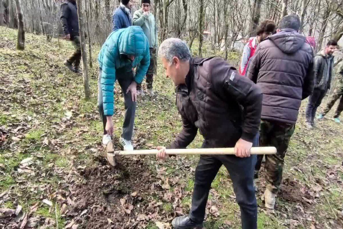 غرس درخت به نام شهدا تنکابن