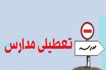 مدارس سراسر استان کرمان تا آخر هفته تعطیل شد