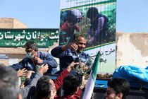 توزیع هزار و ۵۰۰ نهال زیتون در حاشیه راهپیمایی ۲۲ بهمن بافق