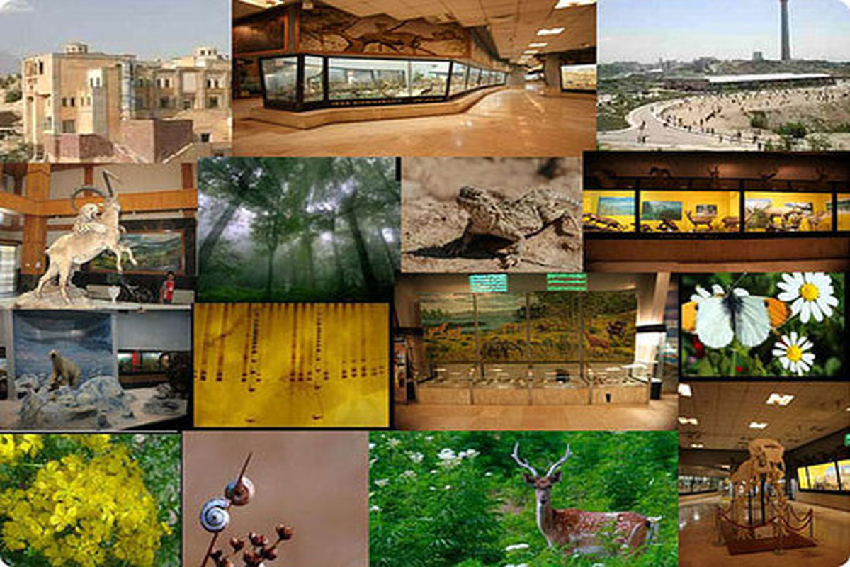 بازدید از موزه تنوع زیستی پردیسان 18 و 19 بهمن رایگان شد