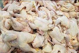 مصرف سرانه مرغ ۳۰ درصد کاهش یافت/ صادرات مرغ بیشتر مربوط به پای مرغ است