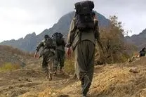 سه عضو حزب پ.ک.ک در حمله پهپادی ارتش ترکیه کشته شدند
