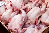 روند خوب جوجه ریزی مرغ گوشتی موجب کاهش قیمت در هفته‌های آینده خواهد بود