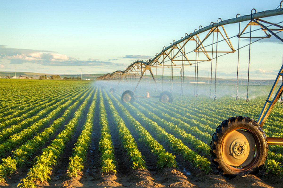 نقش مدرن سازی کشاورزی در کاهش چشمگیر مصرف آب