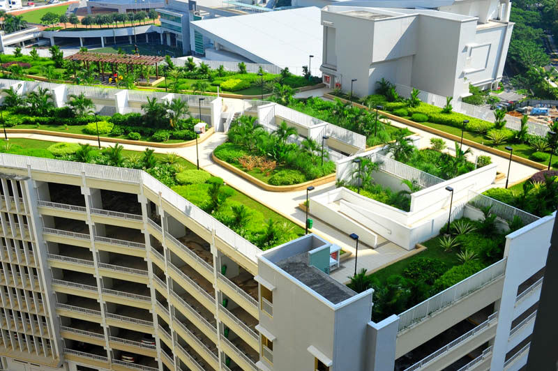بام سبز، توسعه پایدار معماری و مدیریت شهری