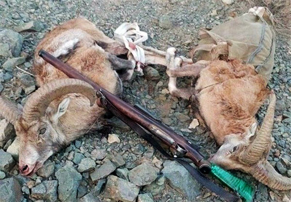 7 شکارچی متخلف پس از 72 ساعت تعقیب و گریز در سفیدکوه خرم‌آباد دستگیر شدند
