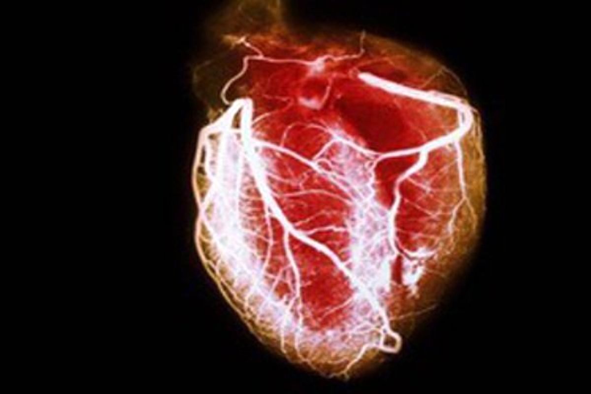 عضلات ساخته شده از سلول بنیادی به پزشکی قلبی عروقی کمک می کند
