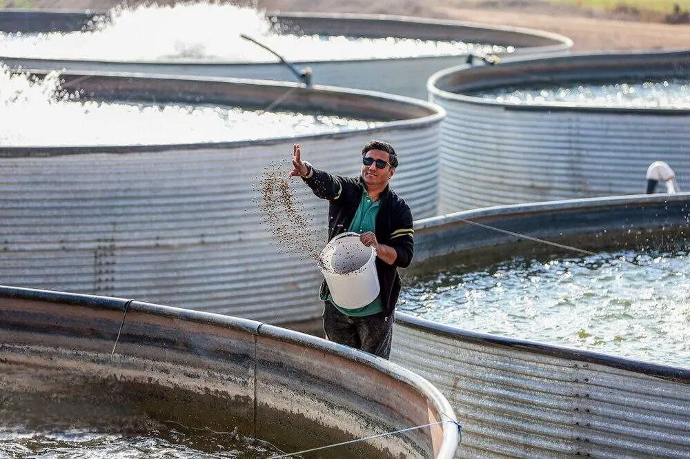بیش از ۳۰ هزار طرح اشتغال‌زایی در مناطق محروم توسط ستاد اجرایی فرمان امام ایجاد شد
