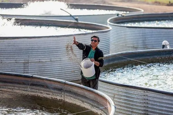 بیش از ۳۰ هزار طرح اشتغال‌زایی در مناطق محروم توسط ستاد اجرایی فرمان امام ایجاد شد