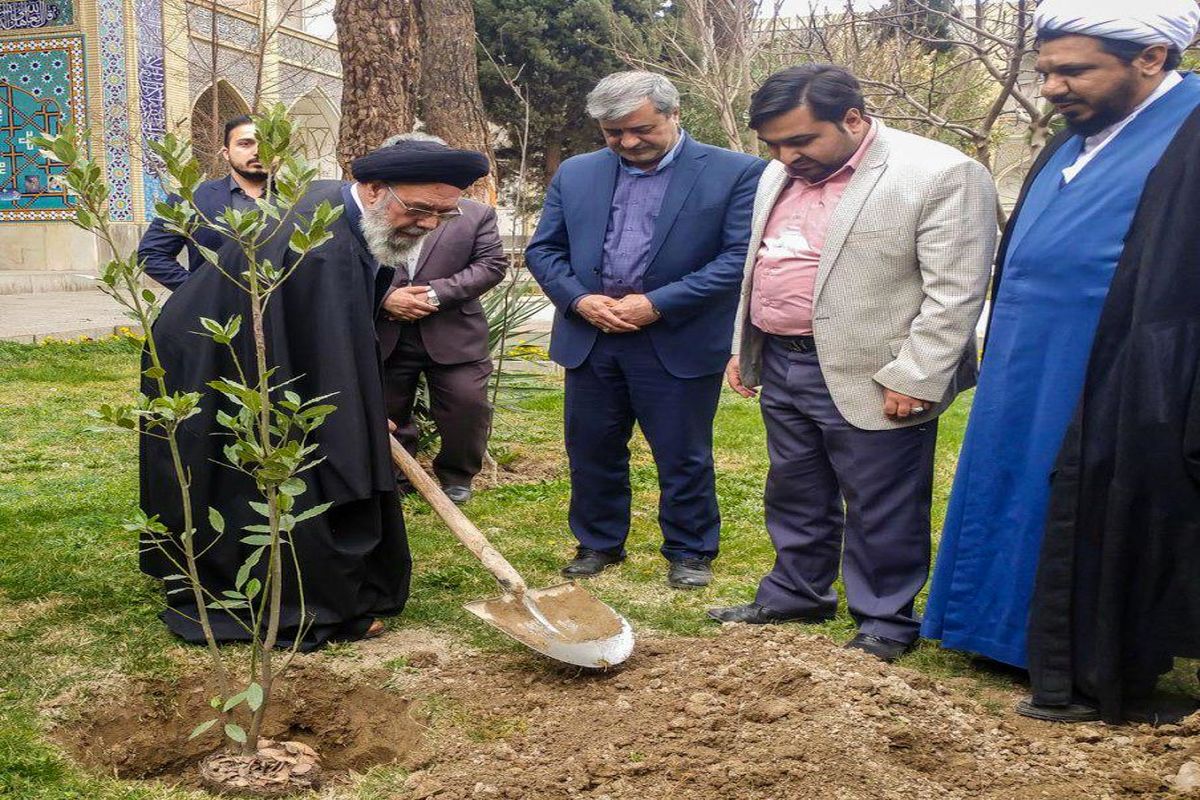اقدام شهرداری اصفهان در استفاده از گونه های مقاوم به کم آبی، ارزنده است