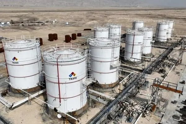 برنامه گسترده شرکت صنایع پتروشیمی برای تکمیل زنجیره متانول در منطقه ویژه اقتصادی لامرد