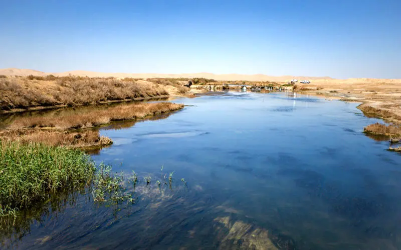 تالاب بین‌المللی گاوخونی سند خورد