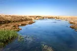 تالاب بین‌المللی گاوخونی سند خورد