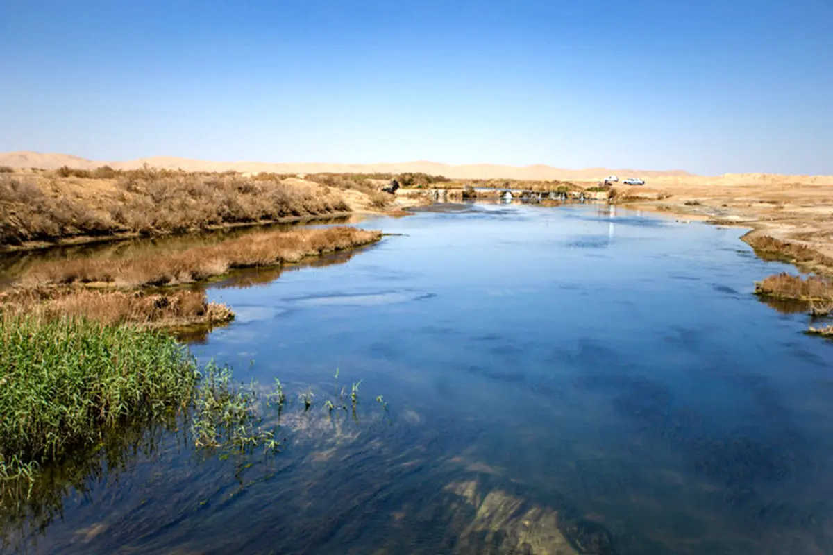 تالاب بینالمللی گاوخونی سند خورد