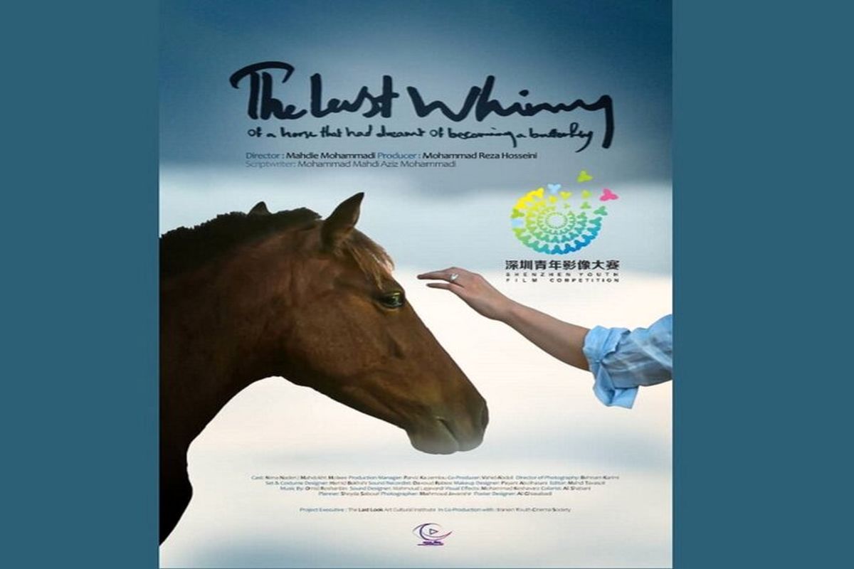 فیلم کوتاه آخرین شیهه