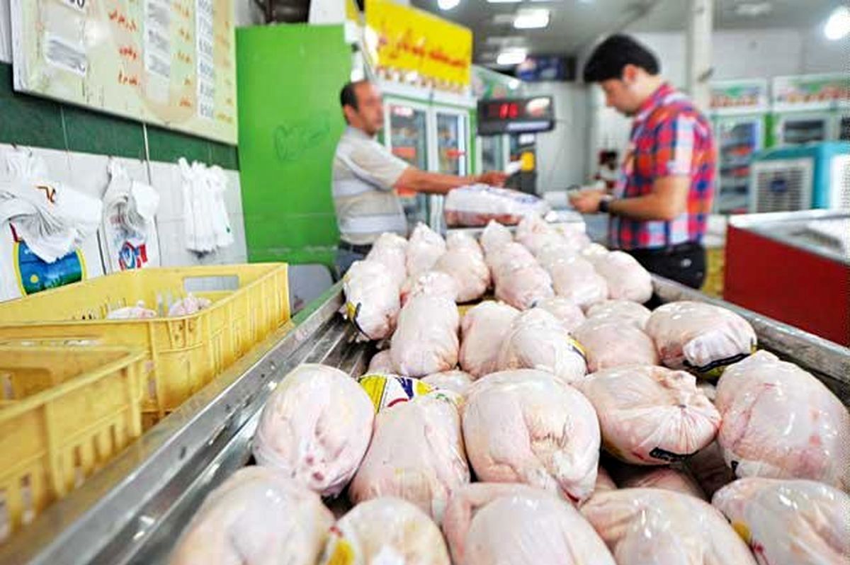 عرضه مرغ گرم زیر قیمت بازار در میادین میوه و تره‌بار