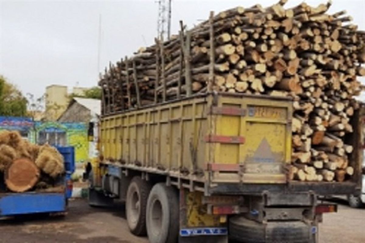 کشف 30 تن چوب بدون مجوز در محور کهورستان شهرستان بندرخمیر‎