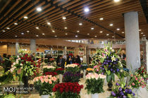 نمایشگاه بین‌المللی گل و گیاه در تهران آغاز شد