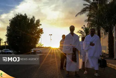 سفر رئیس سازمان حج برای نهایی‌سازی توافق‌نامه حج تمتع ۱۴۰۵