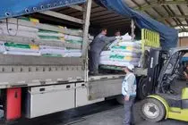 صادرات ۶۲۹ تن پودر آب پنیر از خراسان رضوی به سوریه و پاکستان