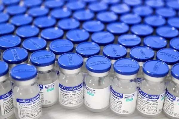 مطالبات معوق تأمین‌کنندگان مواد اولیه واکسن برکت/سکوت مسئولان سابق ادامه دارد