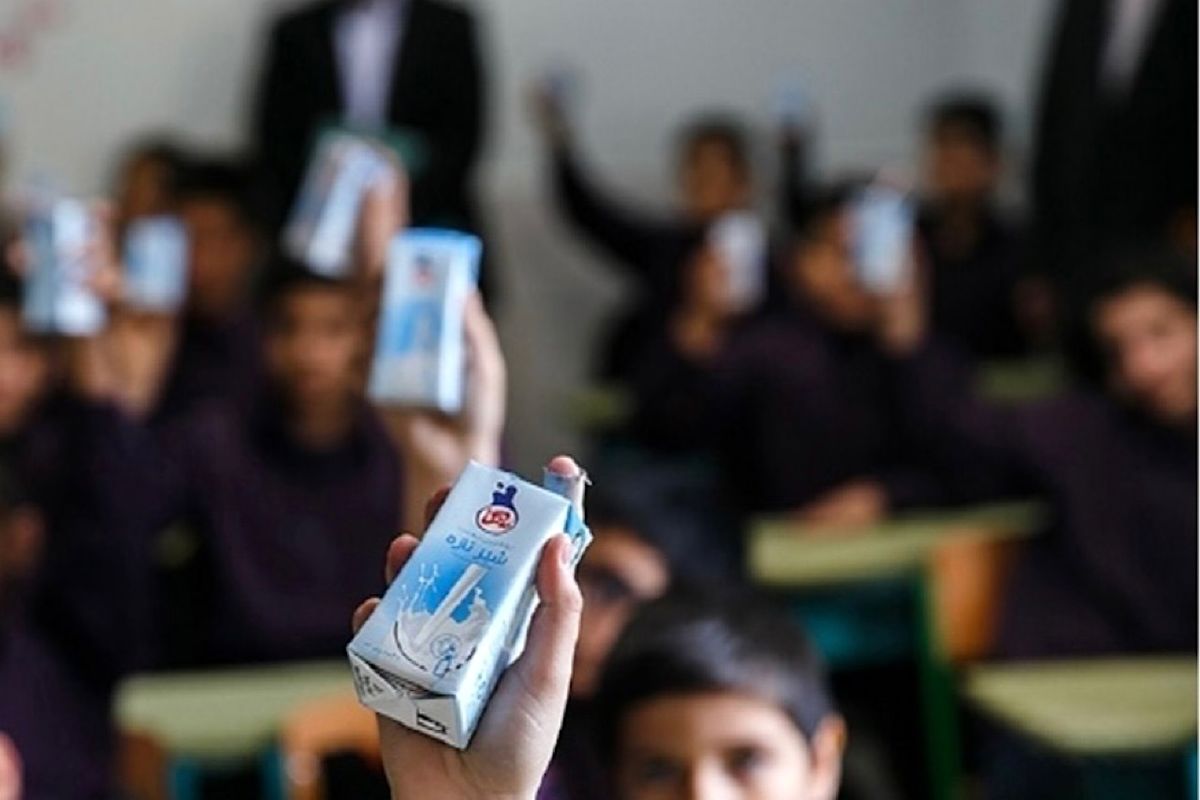 شیر رایگان در مدارس با پوشش هشت میلیون دانش‌آموز توزیع شد