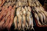 The value of Iran's quarterly fish export declared