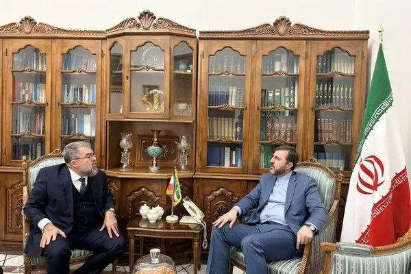 ظرفیت های بالایی در تعاملات بین ایران و برزیل وجود دارد