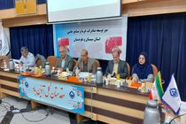 توسعه نخلستان ها  راهی مطمئن برای توسعه تجارت خرما در سیستان وبلوچستان