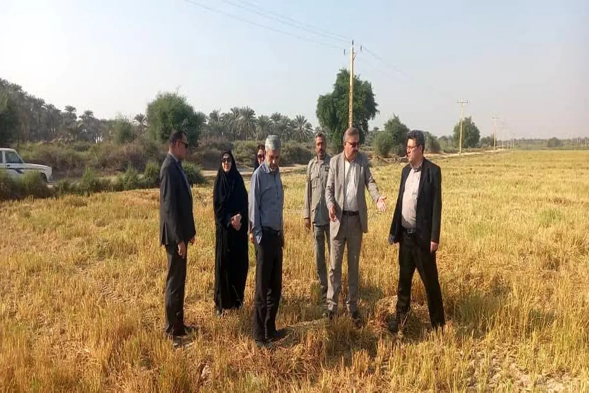 بقایای کشاورزی