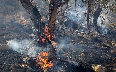 هشدار سازمان محیط‌زیست درباره آتش‌سوزی در جنگلها و مراتع طی تعطیلات پیش‌رو
