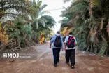 ۱۶۰ سفیر محیط‌زیستی از سراسر کشور به پیاده‌روی اربعین اعزام شدند