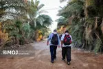 ۱۶۰ سفیر محیط‌زیستی از سراسر کشور به پیاده‌روی اربعین اعزام شدند