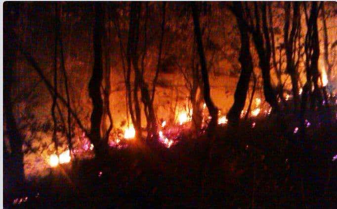 آتش سوزی جنگل «اشکته چال» رامسر مهار شد