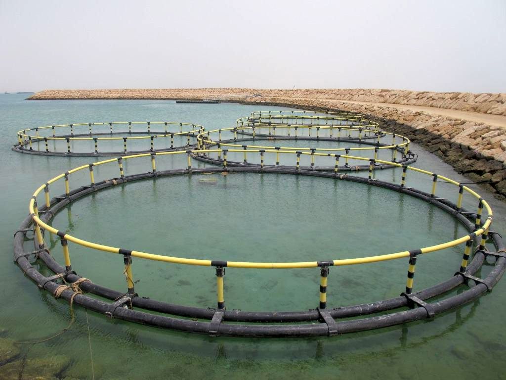 کمبود آب، مهمترین چالش توسعه آبزی پروری  در بهبهان