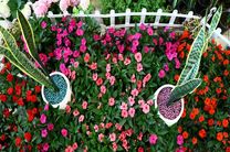 ششمین نمایشگاه گل و گیاهان زینتی در سنندج دایر شد/حضور 13 استان در نمایشگاه استان