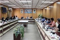 خبرنگاران در ارتقا و بهبود کیفیت نظام سلامت در جامعه نقش مهمی دارند