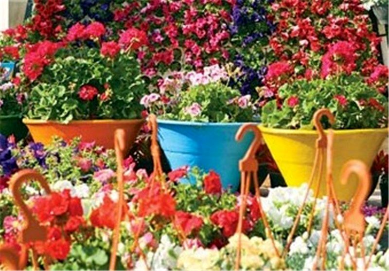 جشنواره بهاره گل‌ و گیاه در اصفهان برگزار می شود