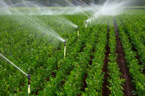 استفاده از روش‌های نوین آبیاری در کشاورزی منطقه سبزوار
