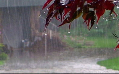 افزایش 3 برابری بارش نسبت به سال گذشته در شهرستان آران وبیدگل 